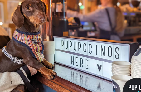 Daschund Pup Up Cafe - 8th September